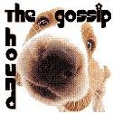 The Gossip Hound : Hollywood gossip and rumors