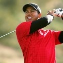 Swing Trainer Golf : 