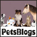 PetsBlogs : a blog for pet lovers