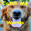 Catch My Words : My humorous thoughts about life.