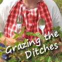 Grazing the Ditches : Wild Foods to Enjoy