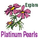 Platinum Pearls : Bringing enlightenment, enjoyment and fulfillment to mid-life baby boomers.