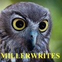 MILLERWRITES : The Barking Owl 