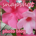 Snapshot : A pictures worth a thousand words