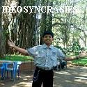 IDIOSYNCRASIES : Online Fiction