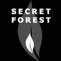 Secret forest : Creative writing