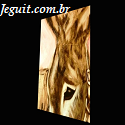 Compartilhando com inteligência : hosts,blogs,share community,games,news,groups