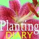 Planting Diary : 