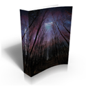 The Path: A Book of Potential : 