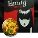 sunflower for emily : What I wanted others to see, to appreciate, to think of...& just as a smile refreshes,a sunflower that blooms lift up the spirit...(",)