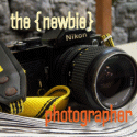 The Newbie Photographer : tips and tricks for the newbie photographer