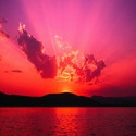 Surprisingly Insightful : Come join me in my insightful journey!