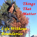 Things That Matter : Life Without Boundaries