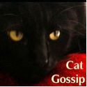 Cat Gossip : from Vladimir, Feline Fashionista
