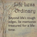 Life Less Ordinary : 