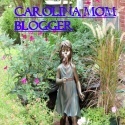 Carolina Mom Blogger : Raising a family in NC