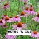 Herbs 'n Oils : 