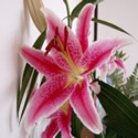 My Infotique : Blog For Moms