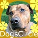 DOGS CIRCLE : 