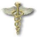 Laparoscopic Procedures : laparoscopic appendicectomy, splenectomy,adhesiolysis,orchidopexy,herniotomy