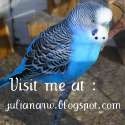 Juliana's Site : 