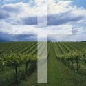 In His Glorious Name Ministries : christianity, christian blogging