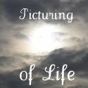 Picturing of Life : 