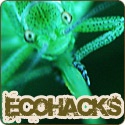Eco-Hacks : If it's this easy to be green, I'm in