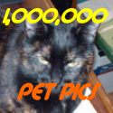 One Million Pet Pics : 1,000,000 Pet Photos