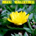 THE PAPER VISION : photography,daily thoughts