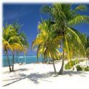 I Love the Beach : Debt Free to Live at the Beach