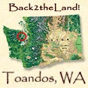 Back to the Land - Toandos, WA : Making a home in Northwestern WA