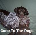 In The Company Of Dogs : Gone To The Dogs...