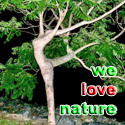 We Love Nature : Nurture mother nature