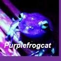 purplefrogcat : Bite Me!