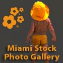 The Miami Photo Gallery : Miami Stock Photo Gallery