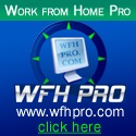 The Work From Home Professional : 