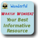 Wakish Wonderz : writing,blogging,internet,article,media,news,computer,programming,money,network