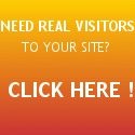 FREE REAL TRAFFIC TO YOUR BLOG OR WEBSITE  : 
