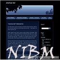 NIBM : I Blog Everything