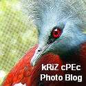 kRiZ cPEc Photo Blog : 