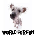 World for fun : cvrle77