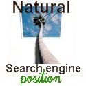 NATURAL SEARCH ENGINE POSITION : internet,search engine,seo,serp,sem,marketing,online,business,money,ranking