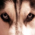 Film-Book dot Com : Film Reviews and Film News for the regular guy