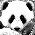 Website and Blog Resources : Tech support in a blog!