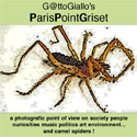 ParisPointGriset : gattogiallo, point of view, photography, my fief, jazz, afrobeat, hip hop, lifestyle, culture, pics, videos, 