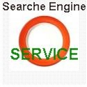 Search engine placement service : search egine,serp.sem.seo,ranking,rank,classement,google,firm marketing
