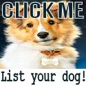 Find a name for your dog, add your dogs name in the complete list of dog names. : 