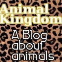 Animal Kingdom : A blog about animals