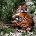 Blogs by Adam Kirby : 